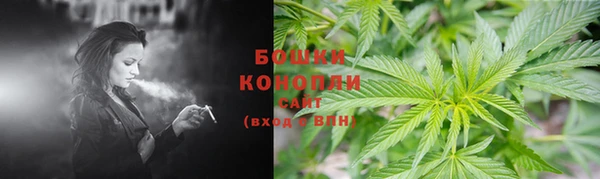 бошки Осинники