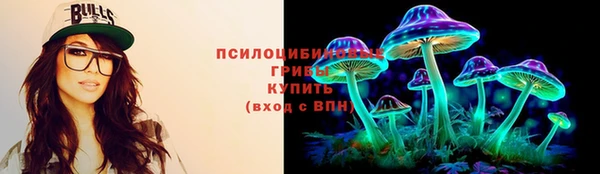 бошки Осинники
