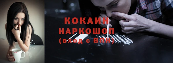 бошки Осинники