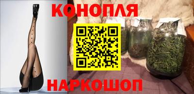 мяу мяу мука Гай