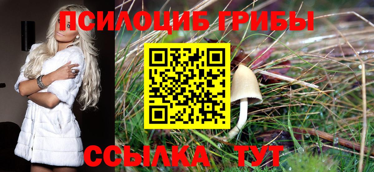 где найти наркотики  Галлюциногенные грибы GOLDEN TEACHER  Вход с VPN  Северобайкальск 
