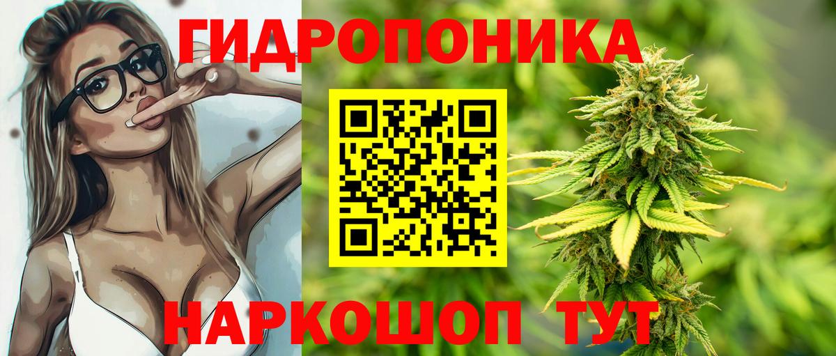 Марихуана Amnesia Северобайкальск